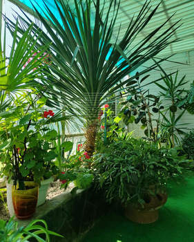 3-к квартира, вторичка, 74м2, 1/1 этаж