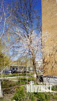 1-к квартира, вторичка, 45м2, 4/6 этаж