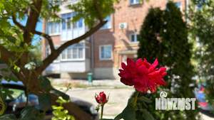 1-к квартира, вторичка, 43м2, 5/5 этаж