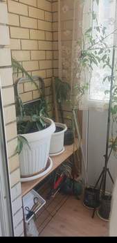 1-к квартира, вторичка, 34м2, 1/3 этаж