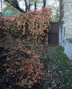 2-к квартира, вторичка, 35м2, 2/2 этаж