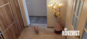 3-к квартира, вторичка, 77м2, 2/3 этаж