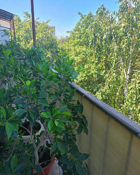 3-к квартира, вторичка, 113м2, 5/5 этаж