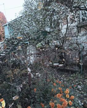 2-к квартира, вторичка, 35м2, 2/2 этаж