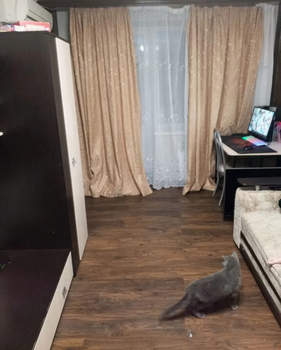 2-к квартира, вторичка, 46м2, 8/9 этаж